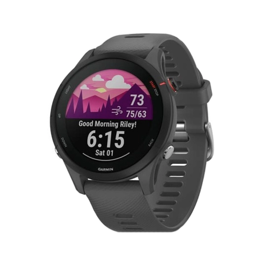 Смарт-годинник Garmin Forerunner 255 Slate Gray