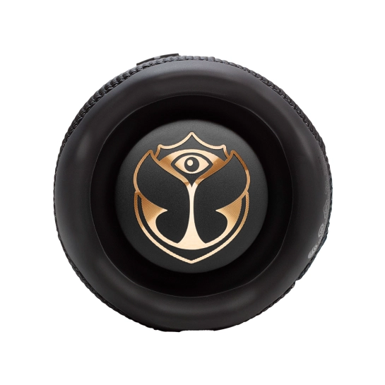 Портативна акустика JBL Flip 7 Tomorrowland Black (JBLFLIP7TML)