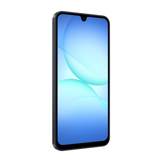 Смартфон Samsung Galaxy A17 LTE 8/256Gb Black (SM-A175FZKE) Global
