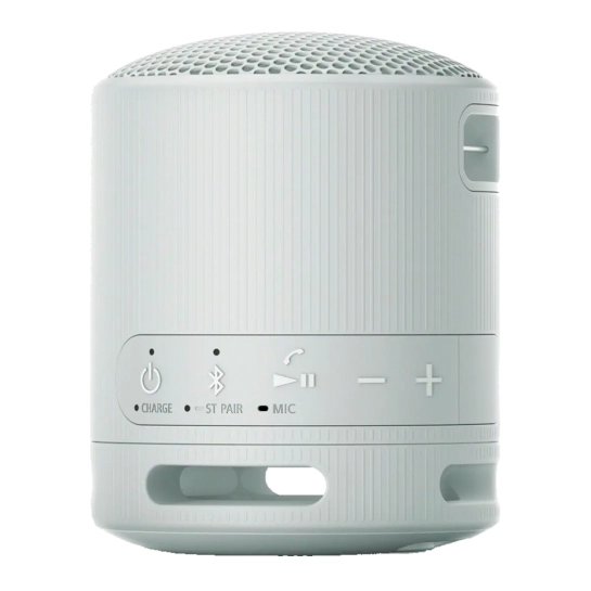 Портативна акустика Sony SRS-XB100 Grey (SRSXB100H.CE7)