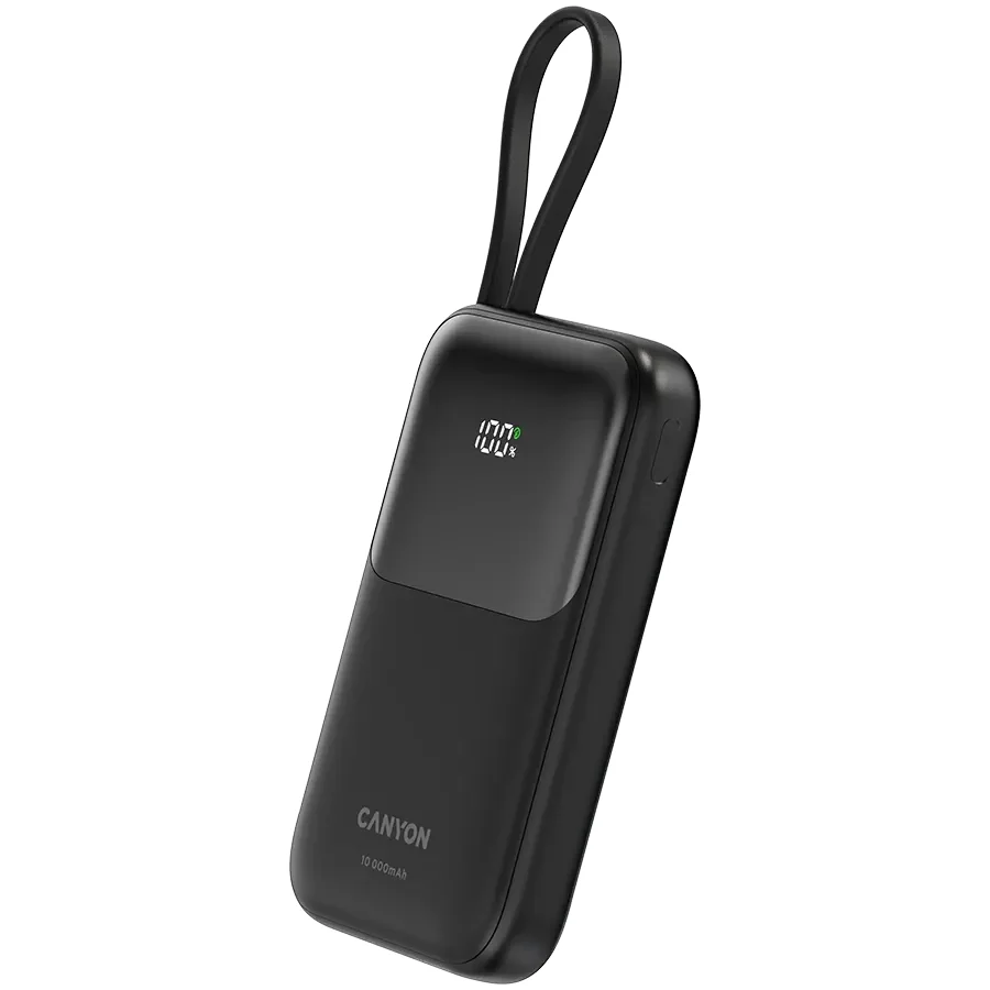 CANYON OnPower 101 Живлення - зарядний пристрій для батареї, Чорний