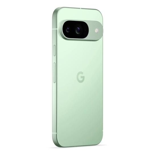 Смартфон Google Pixel 9 12/256GB Wintergreen Global